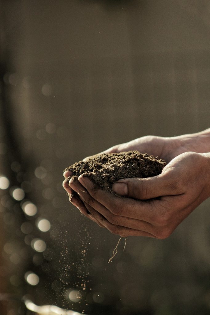 Organic Soil for Raised Beds in the hands of a person